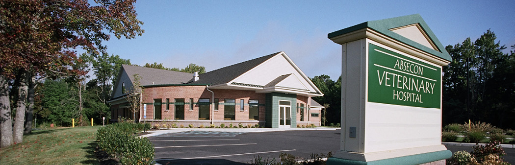 Absecon Veterinary Hospital