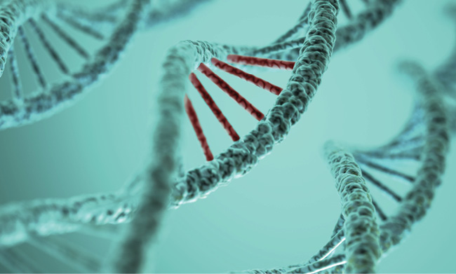 DNA strands with mutation highlighted in red
