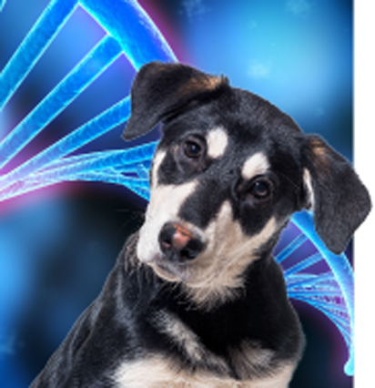 behavior-genes.jpg