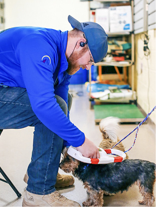 nate_microchip-Photo_courtesy_of_Denver_Animal_Shelter.jpg