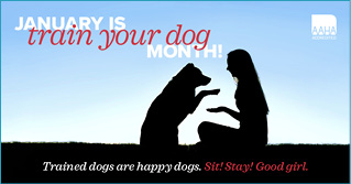 01-Jan-train-your-dog-FB.jpg