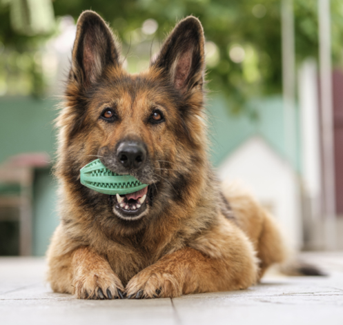 GettyImages-1414450075.png