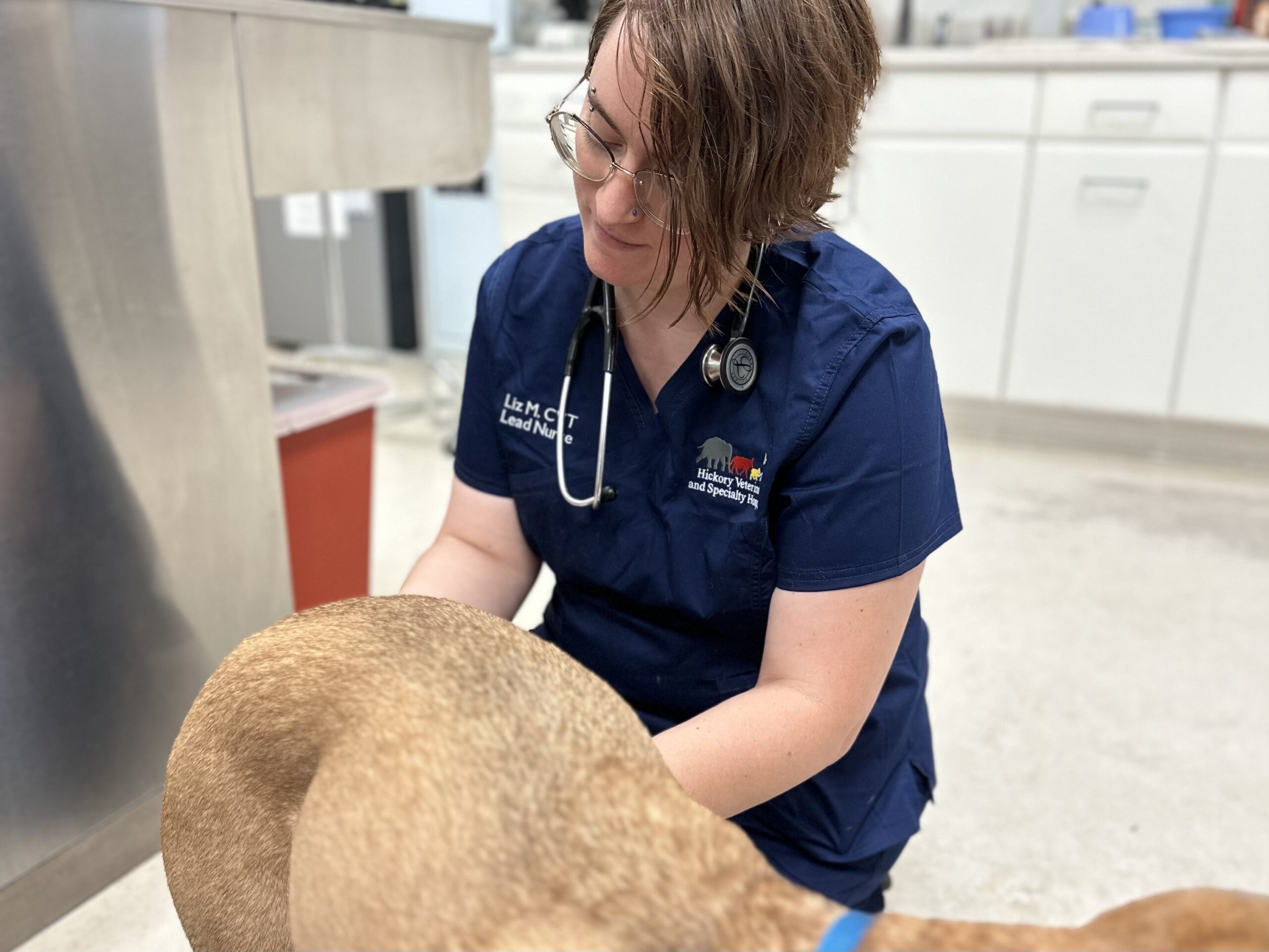 Sept23-McNerney-Vet teams IRL-Liz 3.JPG