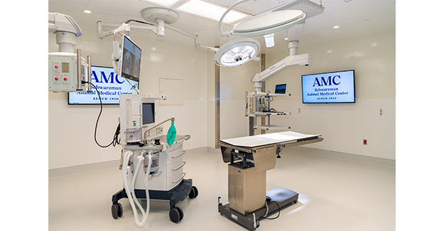 Feb24-Singler-Schwarzman-surgical suite-credit Joy Glenn.png-Epi.png