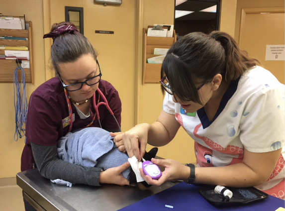 Ashleigh_and_Morgan-Courtesy_of_New_Frontier_Animal_Medical_Center.jpg