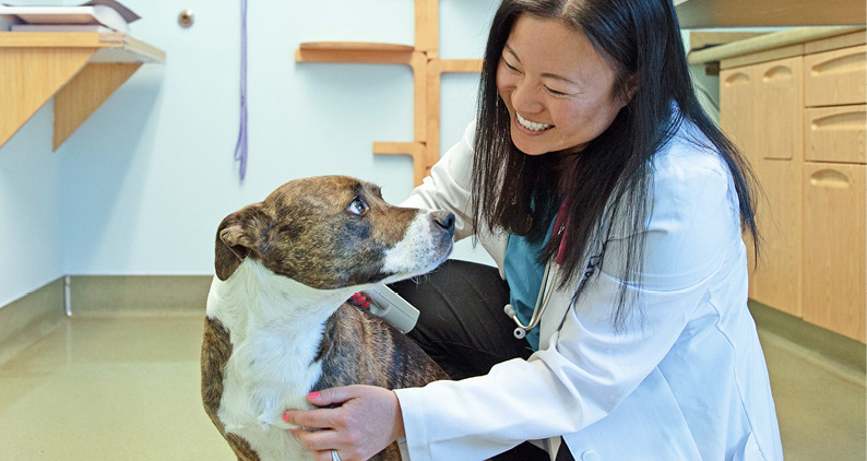 Dr_Leslie_Dunham_at_Gentle_Touch_Animal_Hospital-Photo_credit_Chrisi_French_at_Crimson_Thread_Photography.jpg