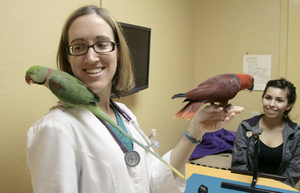 weston_birds-Courtesy_of_New_Frontier_Animal_Medical_Center.jpg