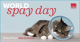 02-25-spay-day-FB.jpg