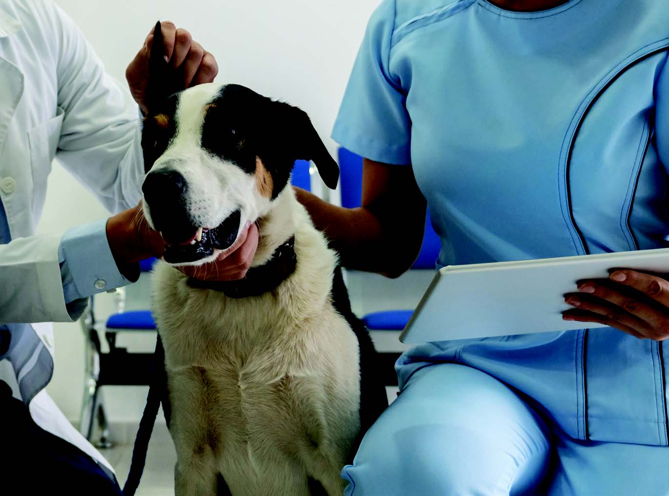 Telehealth3.jpg