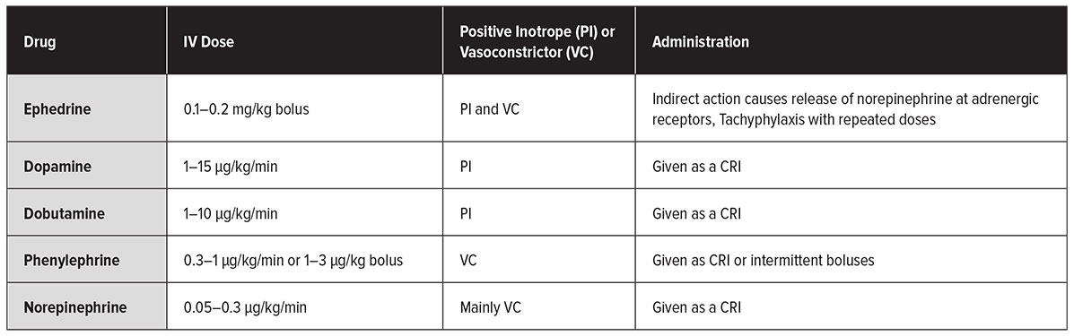 drugs-to-support-blood-pressure.jpg