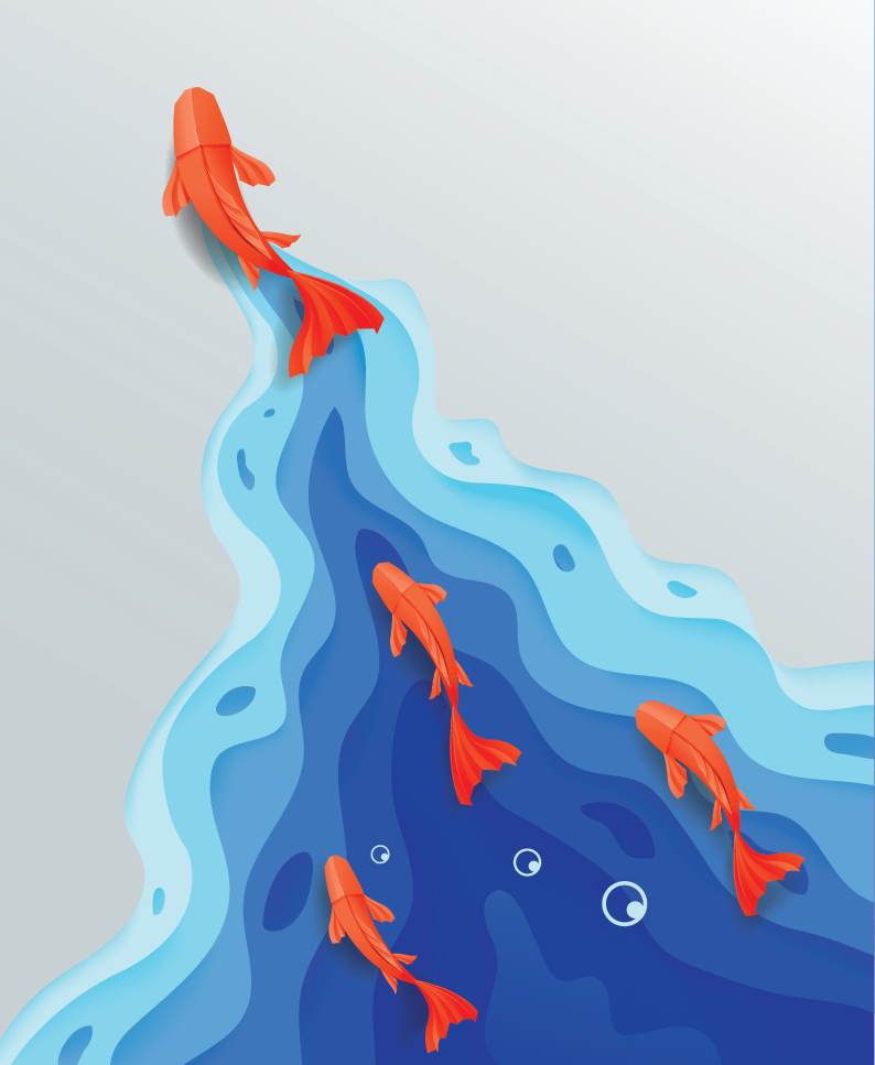 1 goldfish leading a group of goldfish, representing staff retention.