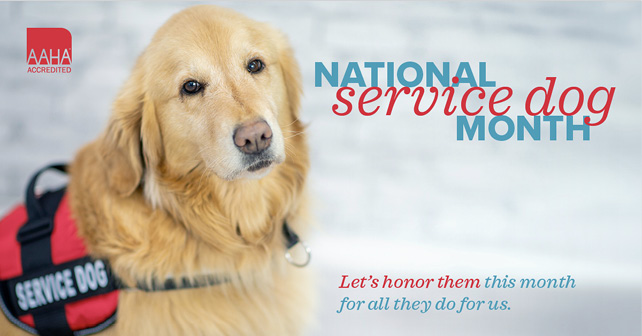 FB_Natl_Service_Dog_Mo.jpg