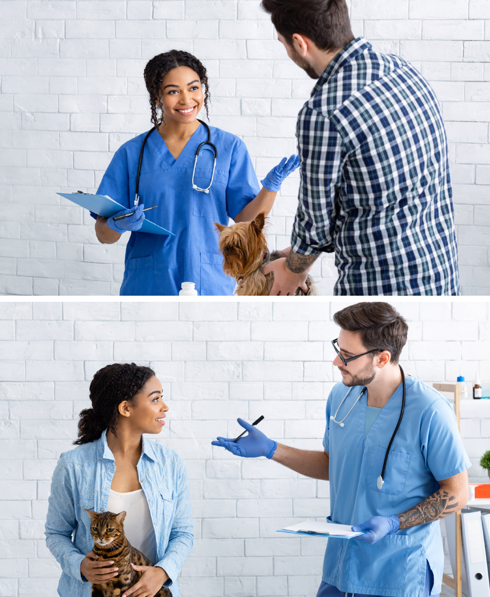 A simulation (sim) is a story, rolled out across time. It mimics a “day in the life” of the employee audience.