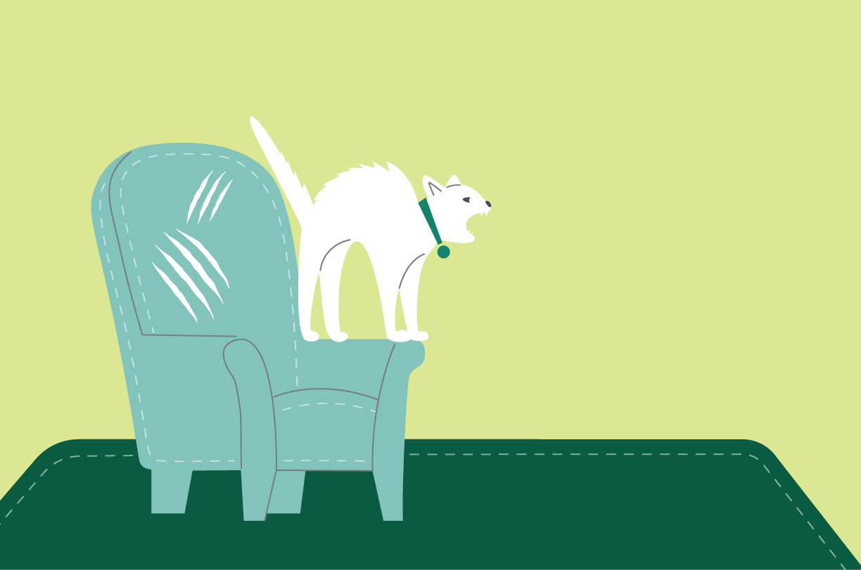 An unhappy cat scratching furniture can signal a behavior issue.