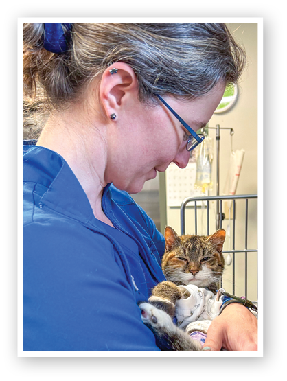 Teams@Work: Jessie Rayburn, CVT