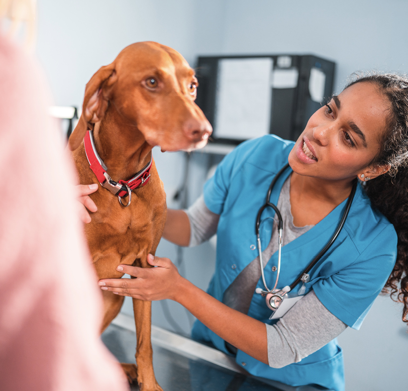 A technician discussing pain management options at a community clinic.