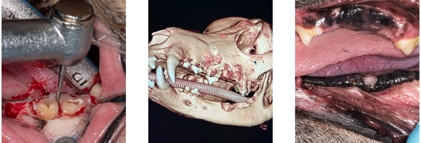 fig6b-8.jpg