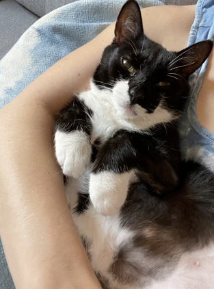 Audrey_snuggle.jpg