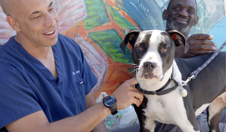 Walter-_-Mr-Dinker2_Courtesy-of-Project-Street-Vet-1.jpg