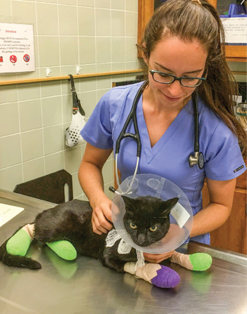 student-with-burned-cat.jpg