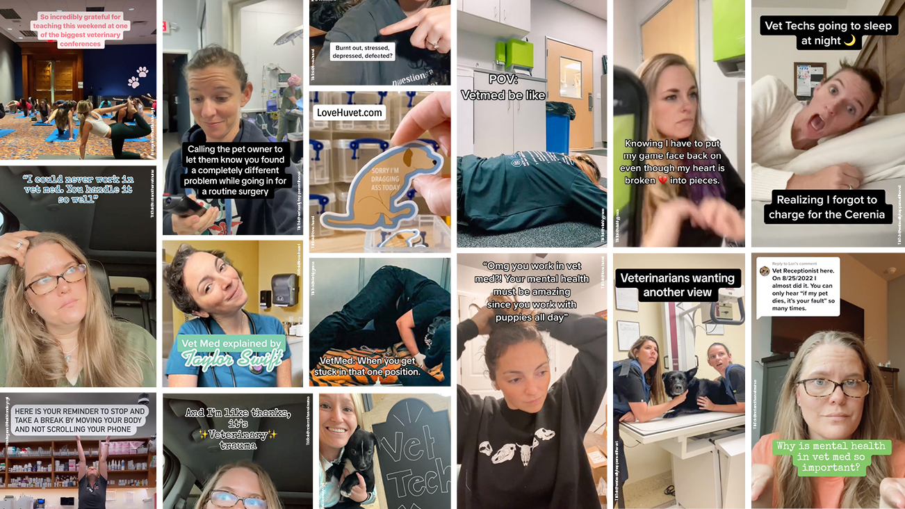 A collection of social media images from a variety of vet tech influencers.