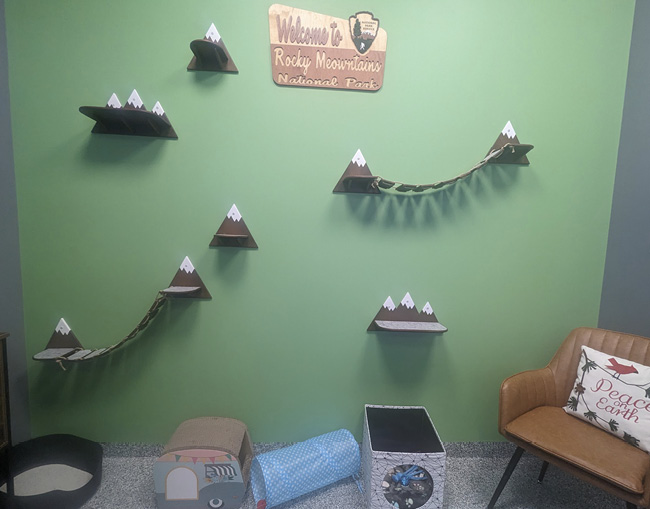 Cat Exam Room at PetVet365 Westminster