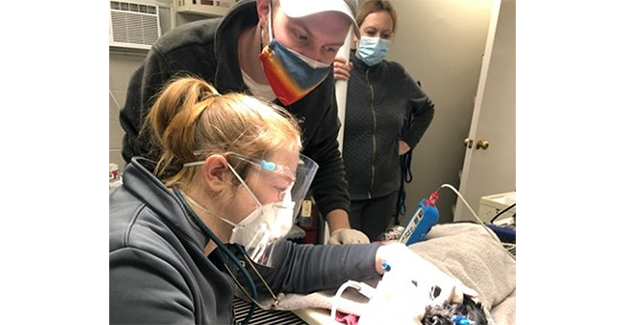 Nov23-McNerney-Vet Teams IRL-Noah Meyers-with patient and team-Epi.png