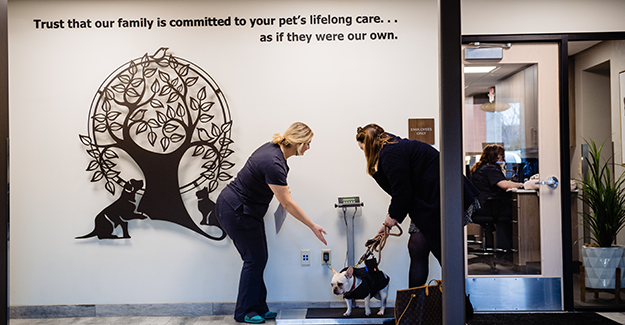 Sept23-APOY-Upper Arlington-Weighing a patient.png
