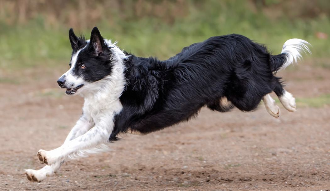 GettyImages-1156063938.jpg