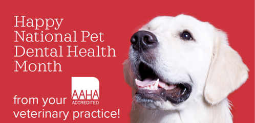DentalMonth_FB_06.png