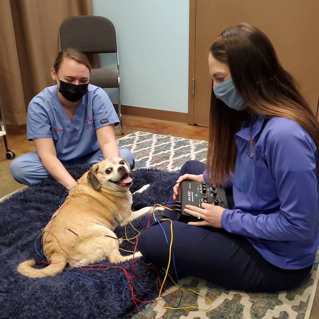 Acupuncture at LVCC