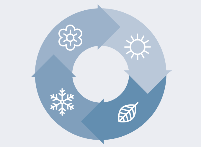 Infographic of the 4 seasons