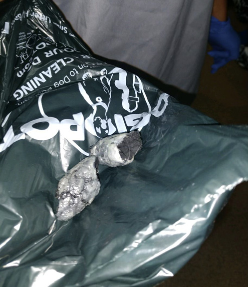 MetalPoop2_7348.jpg