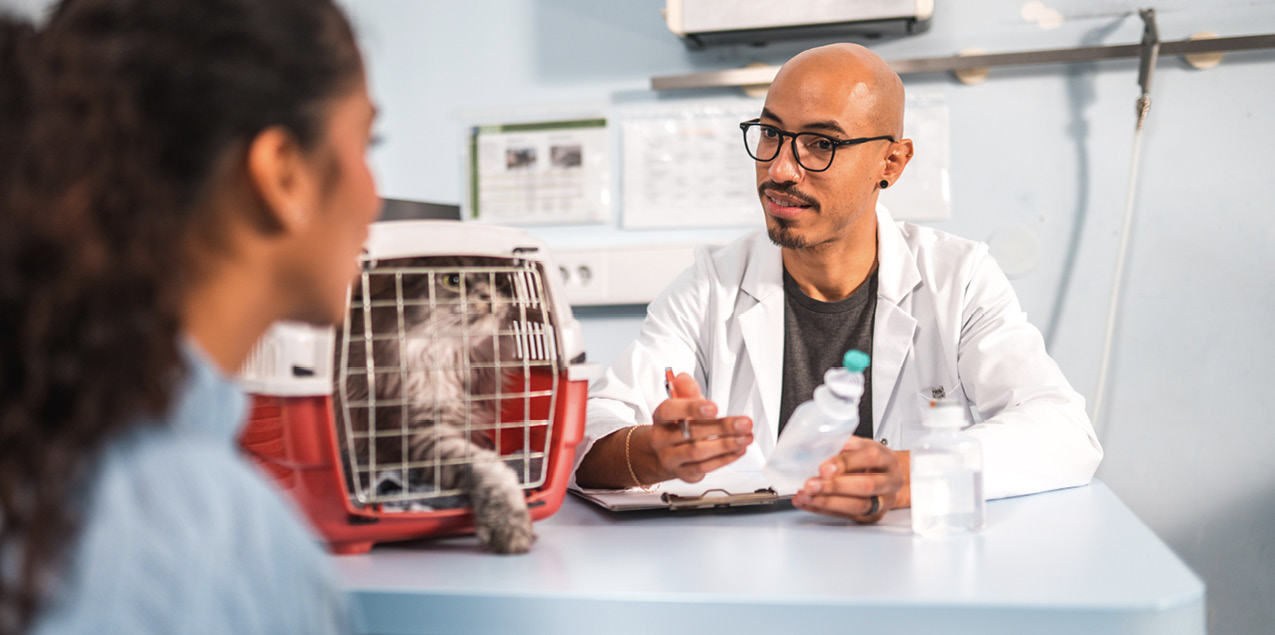 Veterinarian discussing treatment during feline dermatology appointment.