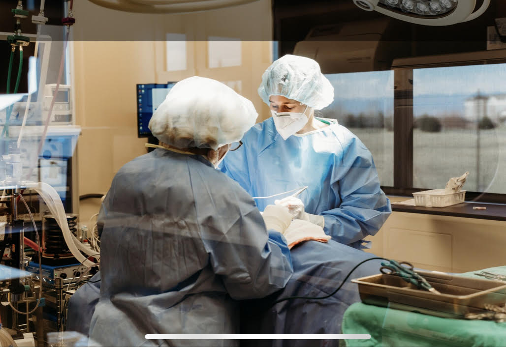 Doctors performing surgery
