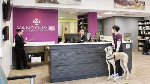 Front desk area at VCA Vancouver