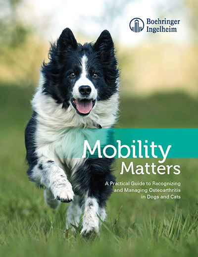 MobilityMatters_cover.jpg