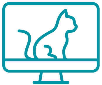 Cat on a computer screen