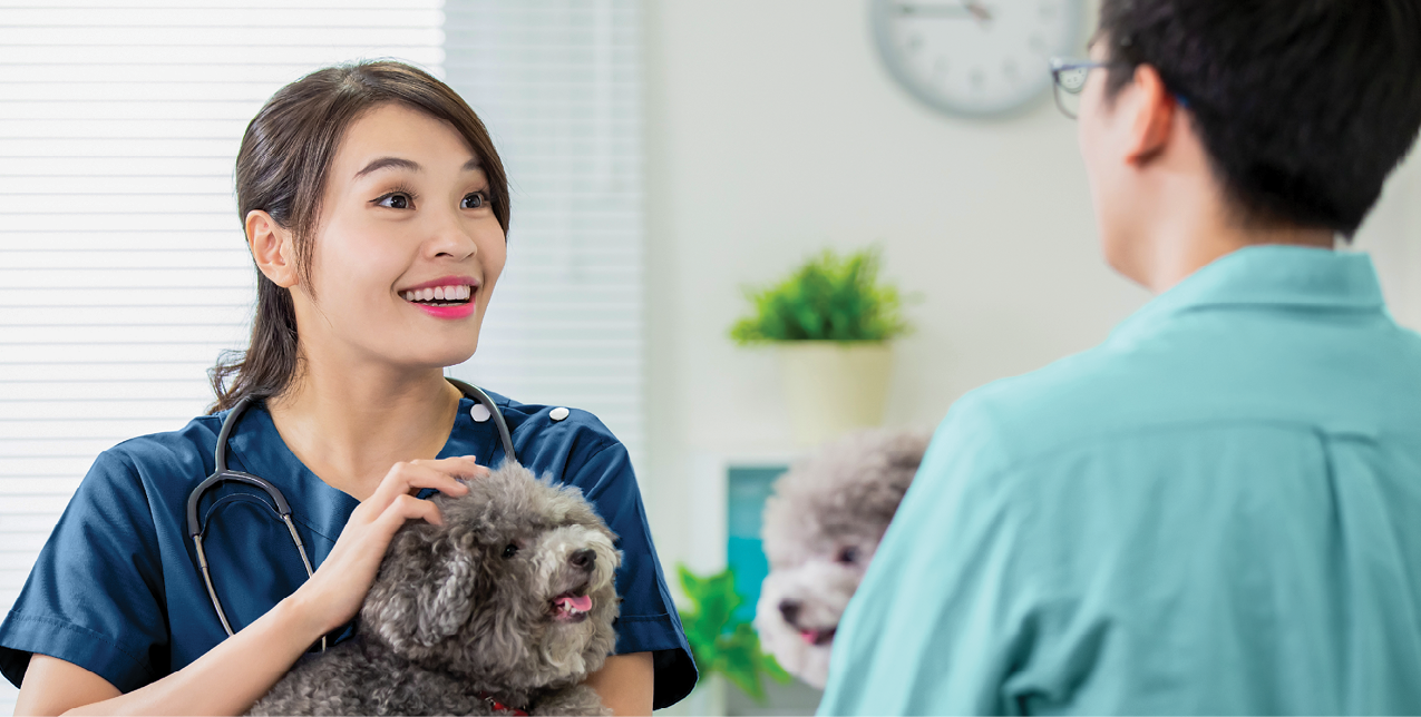 Veterinary technician shows off her soft skills by engaging the client while holding his dog.