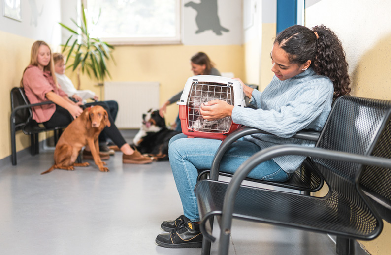 Waiting room with clients and their pets