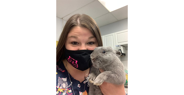 Lisa Shoebridge-epi.png