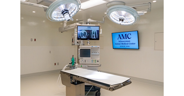 Feb24-Singler-Schwarzman-close up surgery table.png-Epi.png