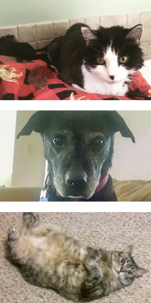 penny-annie-mama.jpg