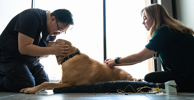 Sept23-APOY-Upper Arlington-UA vets and dog in front of window.png