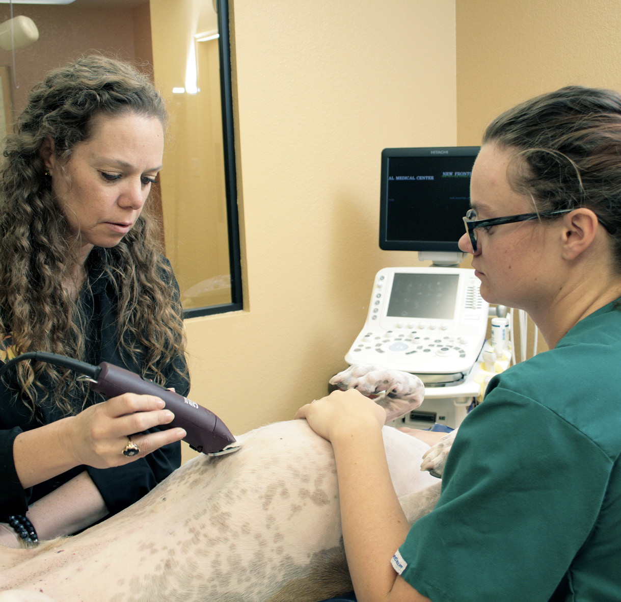 Jenn_and_Morgan-Courtesy_of_New_Frontier_Animal_Medical_Center.jpg