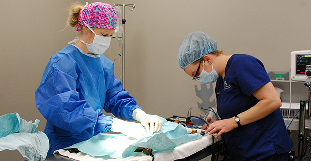 Aug23-TimberCreek-Surgical suite.png
