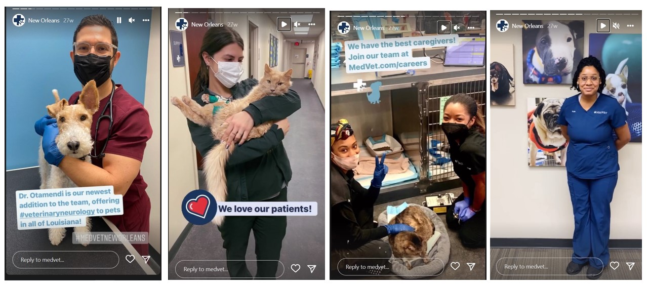 MedVet_Insta story.jpg