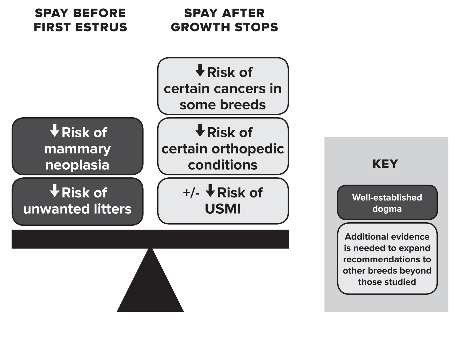 Spay balancing risks chart