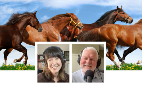 Photos of Katie Berlin, DVM, and Mike Pownall, DVM, MBA, during podcast recording, with an image of horses running in the background.