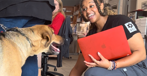 Veterinary team member Jorey Ferguson